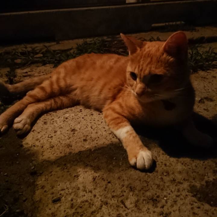 9df4f76a c82f 46e8 a7e3 9c76feacae10 1566559725205