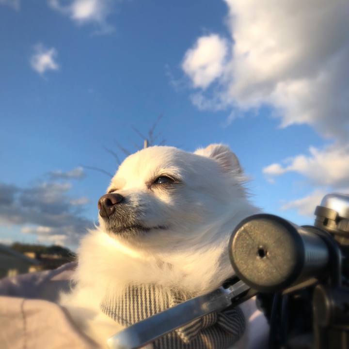 9df4f7f5 e60a 4804 9449 e3928f6ffe0a 1604789422806