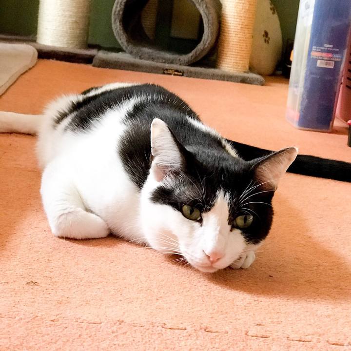 9df4fb40 90a7 4dae a470 f2b14e7a97ee 1530581747438