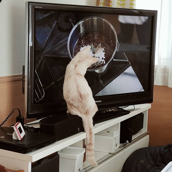 9df520a0 13e2 47dc b865 50eaf4f26981 1644243334377