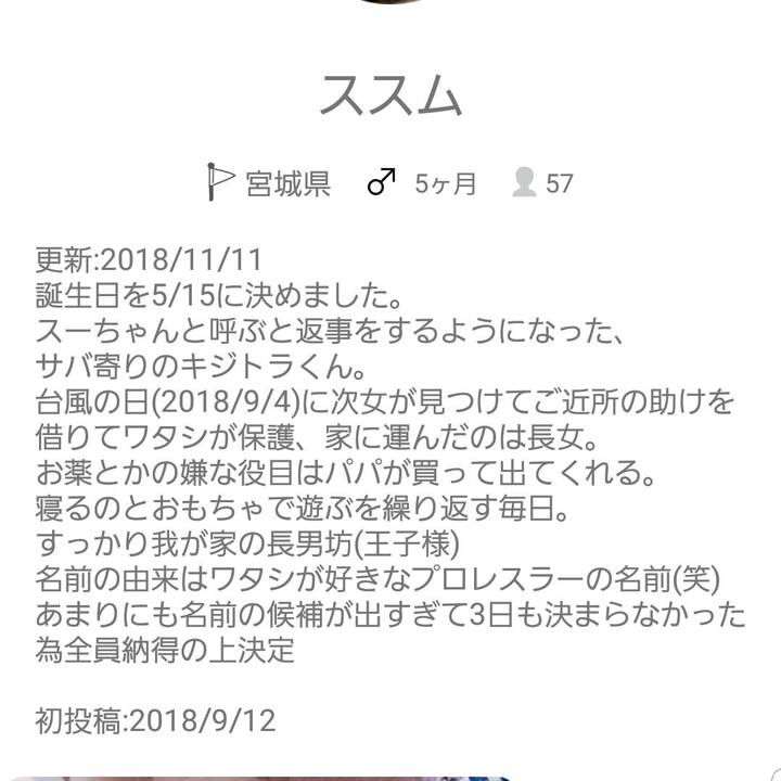 9df52efe 1e3e 4e18 bc62 952b0bd9cf63 1542274535658