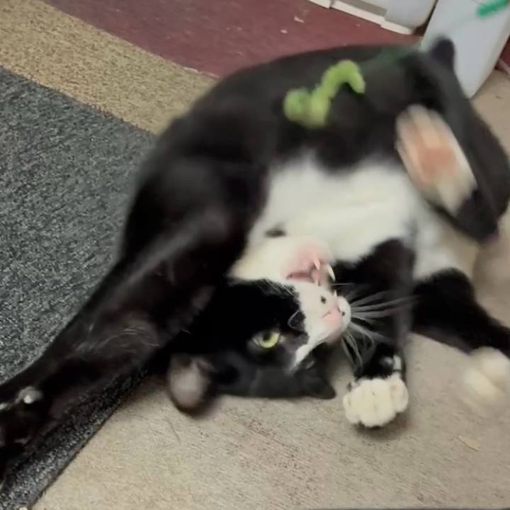 9df5b021 6aa6 468c 8f06 f61720651a65 1772549706746