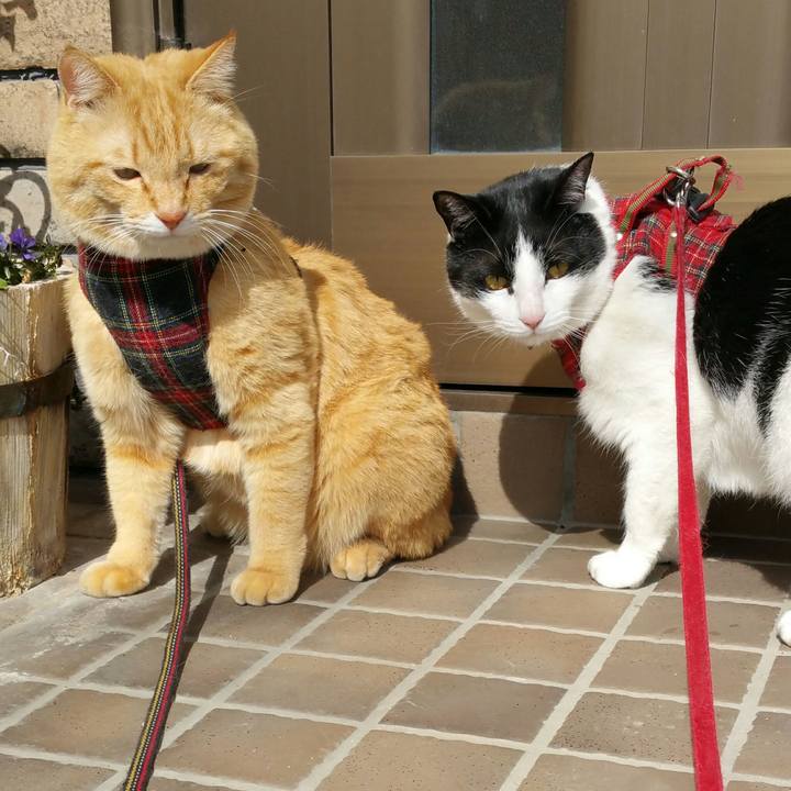 9df5b663 6b07 4808 86fe 51ffeb05a2d7 1519354598612