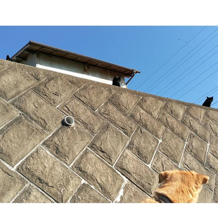 9df5c629 8e0c 414e 9302 28bd67d3c789 1541668336348