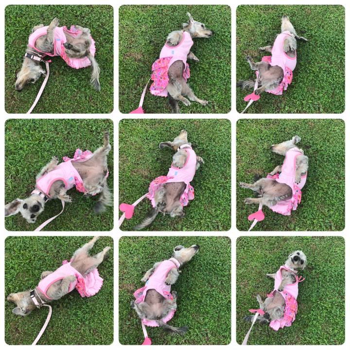 9df5d499 e4bc 407b b54f e097babcbb84 1528965081723