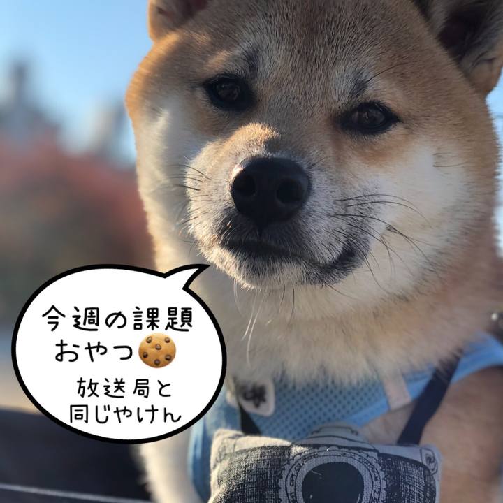 9df5e704 c181 4227 9b07 0fbbbd6311bf 1541375839573