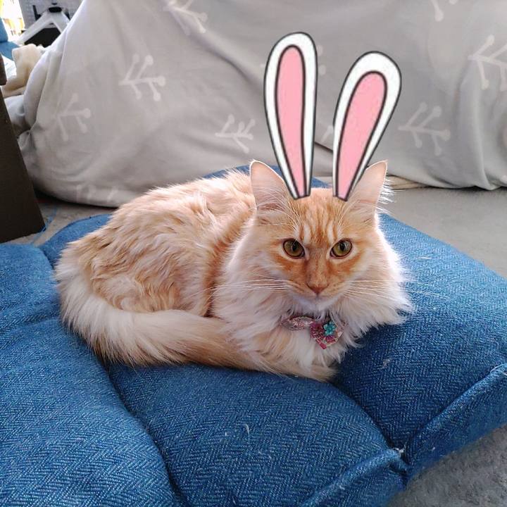 9df611c0 f813 4c8d ba63 06807912624b 1672626378079