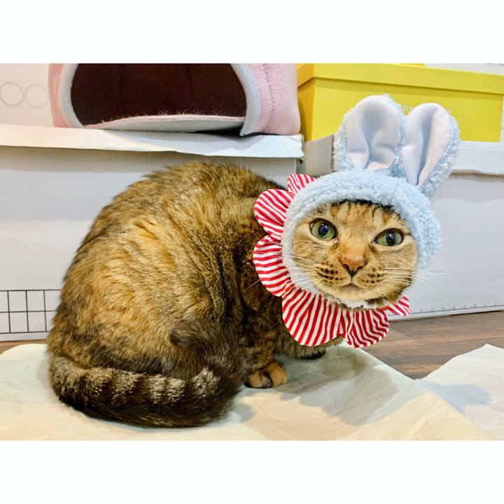 9df6555b e85c 47dc ba48 4cbf5e135b0c 1617542897334