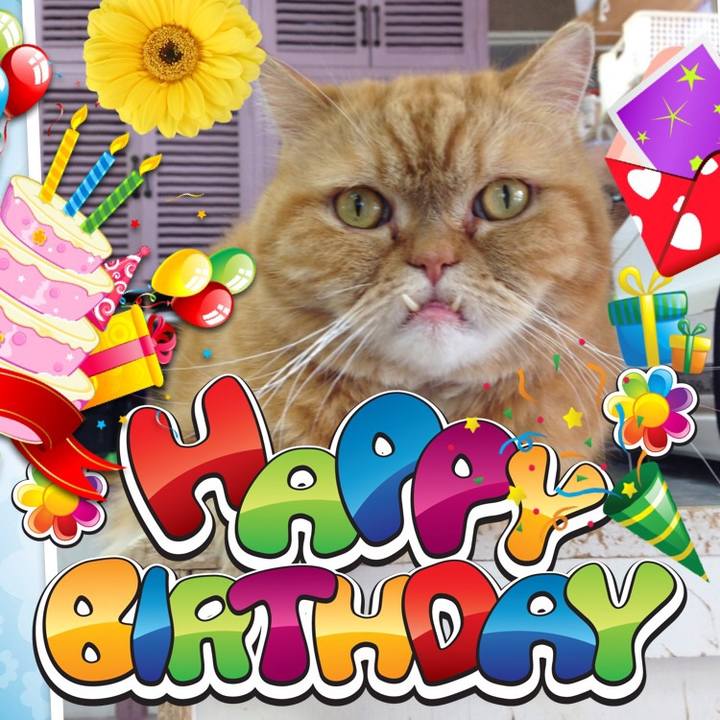 9df659b1 b660 44e5 b05e b830d0c0b4e9 1545177294306