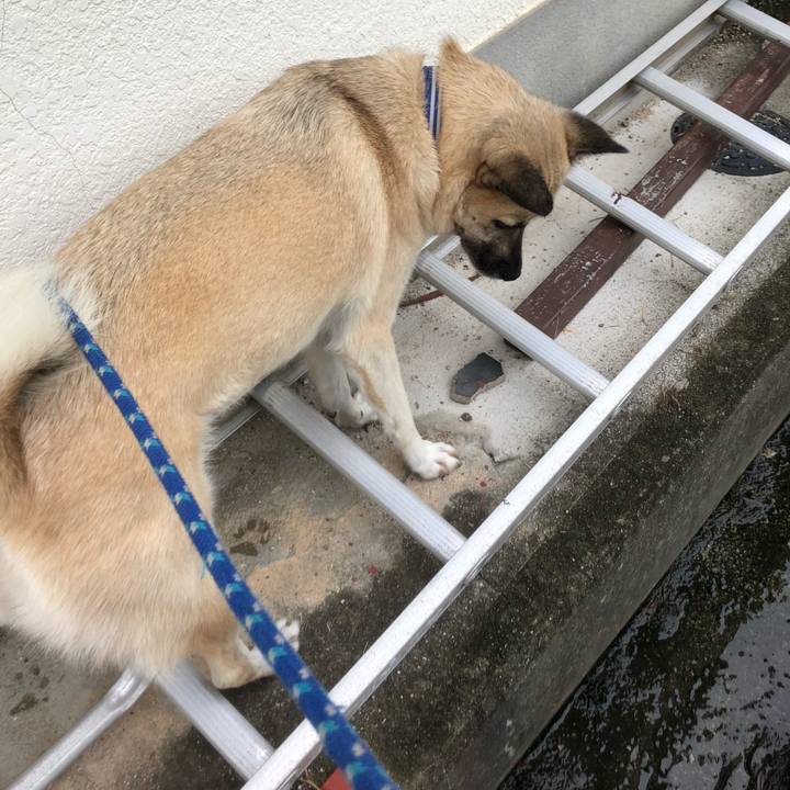 9df65f17 a23d 4314 b470 e59b5ee3fc05 1566648376787