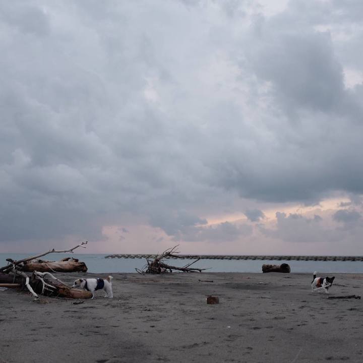 9df663b0 7d8d 4959 ba31 0dc82c79a9e5 1510723249672