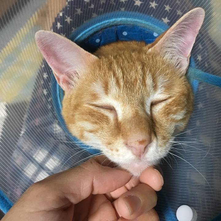 9df66679 fe51 4c38 868a 6d33f9faa2d8 1528384508765