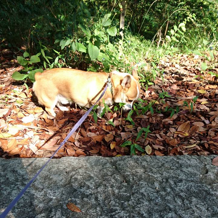 9df66abb 9bf1 4ae4 98b6 9ba83b0cd4c6 1602355559498