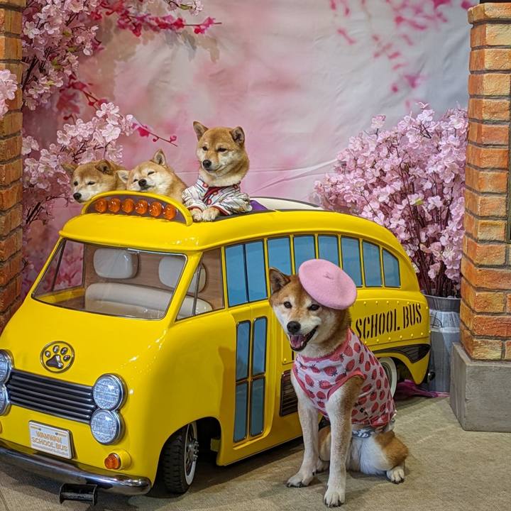 9df67d45 4a8f 409e 8133 8dc182c4d413 1712926816369