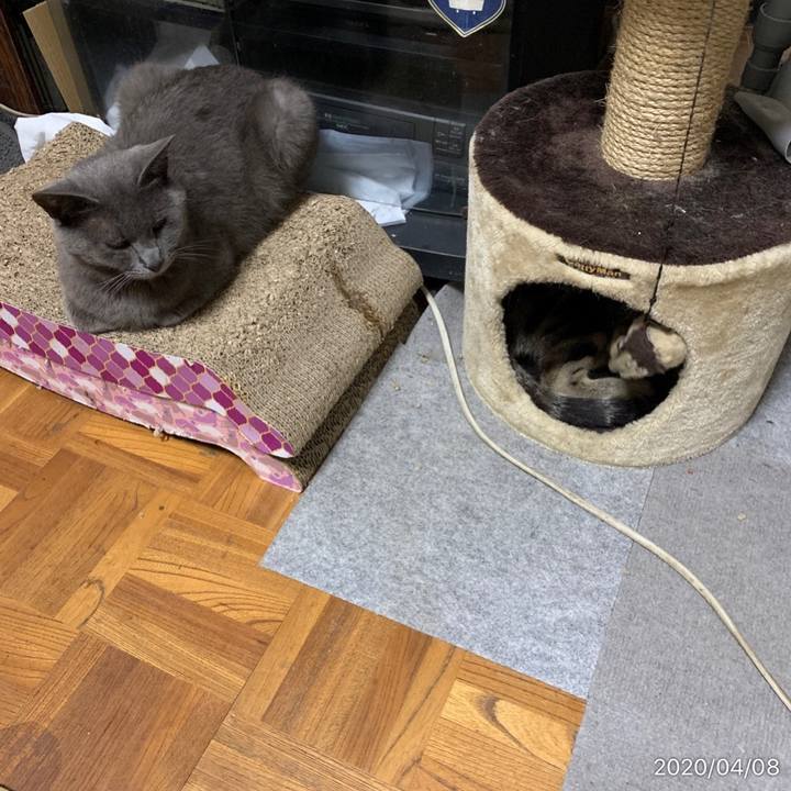 9df6ec45 99ef 4c34 9654 0fed85814701 1586351083769