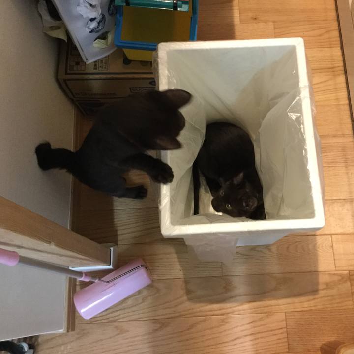 9df70070 a1fa 4a6b a677 48de6321267a 1512623257125