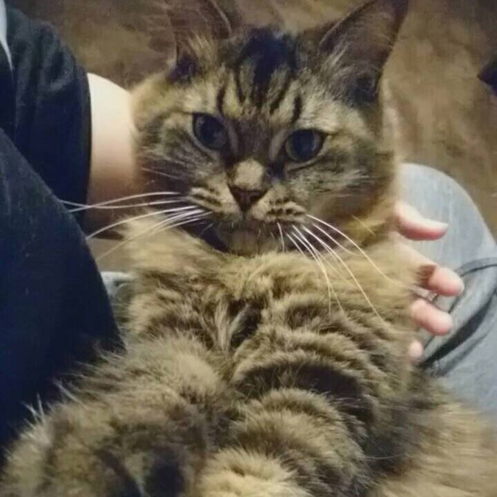 9df71294 1271 47e8 af6e 53259baaf1e7 1542669290268