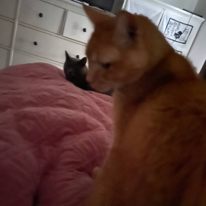 9df716f3 5e56 4867 880c 6bd715255678 1769134586410