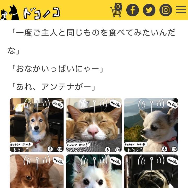 9df72dcf 73c4 45ba 8625 72a267538493 1593507620011