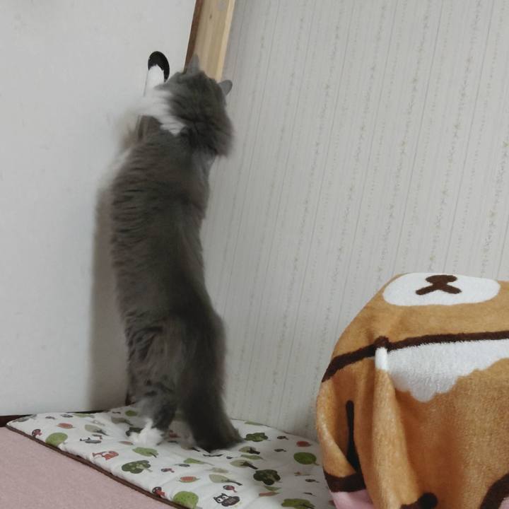 9df7573c a235 4cd5 8905 d3a015c7b6f0 1619856745044