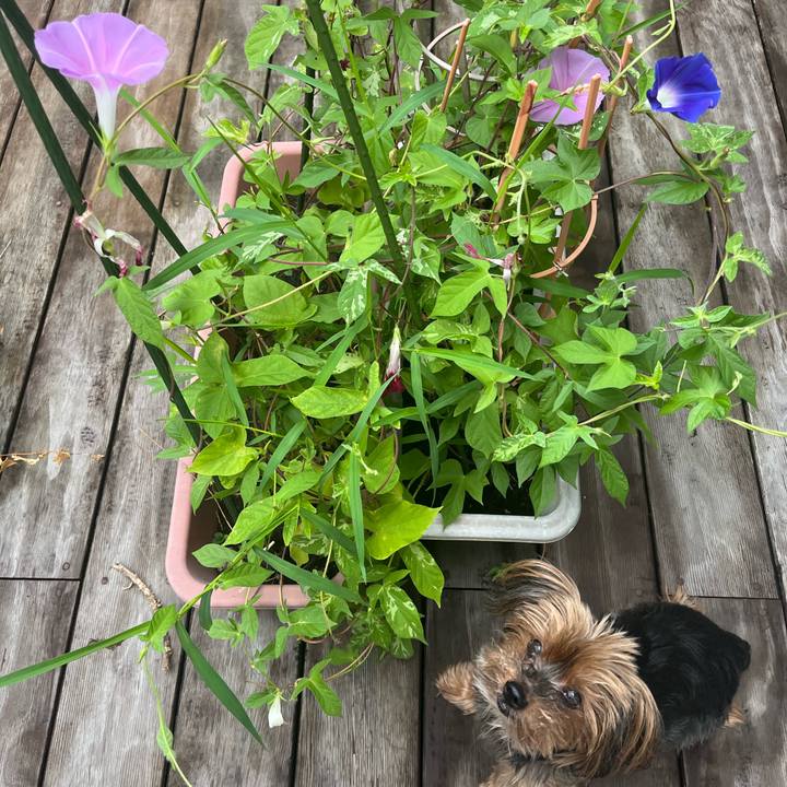 9df77554 734e 44b6 a9ef 1f999aad84cc 1724365443491