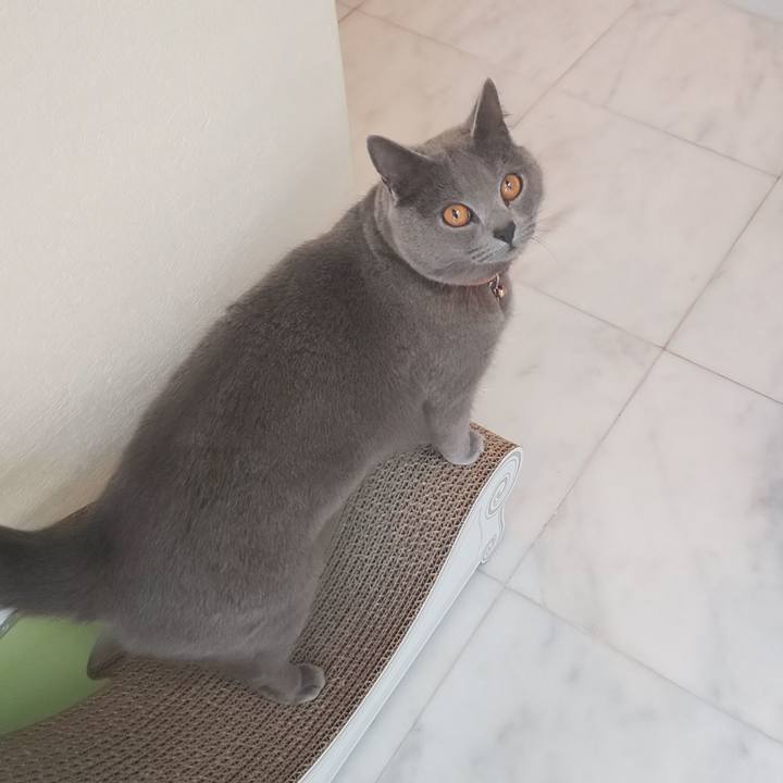 9df79009 8046 49e3 b62a 4acb600d1f70 1553591984164