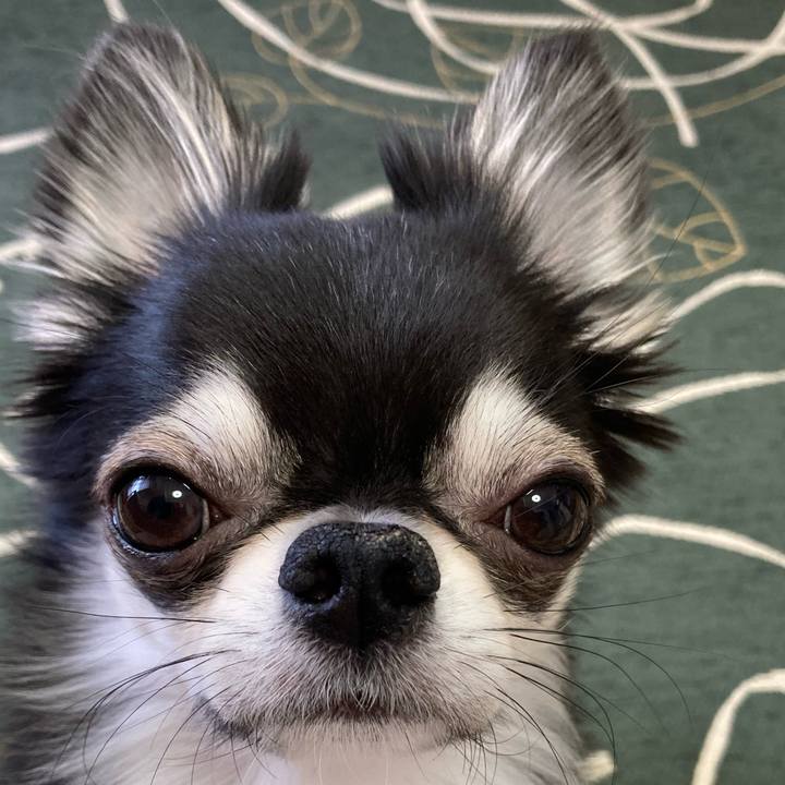 9df7a122 92e2 42ea 80f2 24b6a6e5b19e 1647819514949