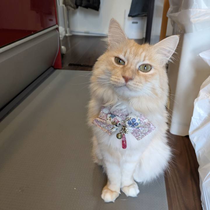 9df7f85f 0e55 4bf2 9218 a57e0ab2baba 1766276229341