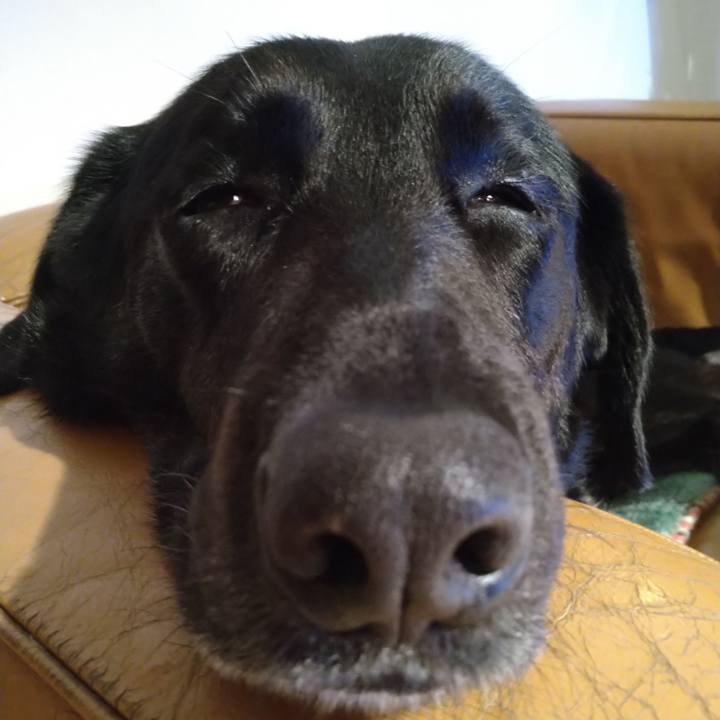 9df7fd4c 1285 49fa 871d b3acf3f4dcfa 1625399219767