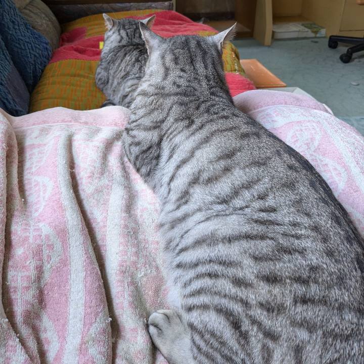 9df838c3 6d94 477b a7ce 8f7b3a92c103 1723013410774