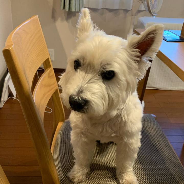 9df88d5a bace 45b8 af00 16236d61f124 1632923899706