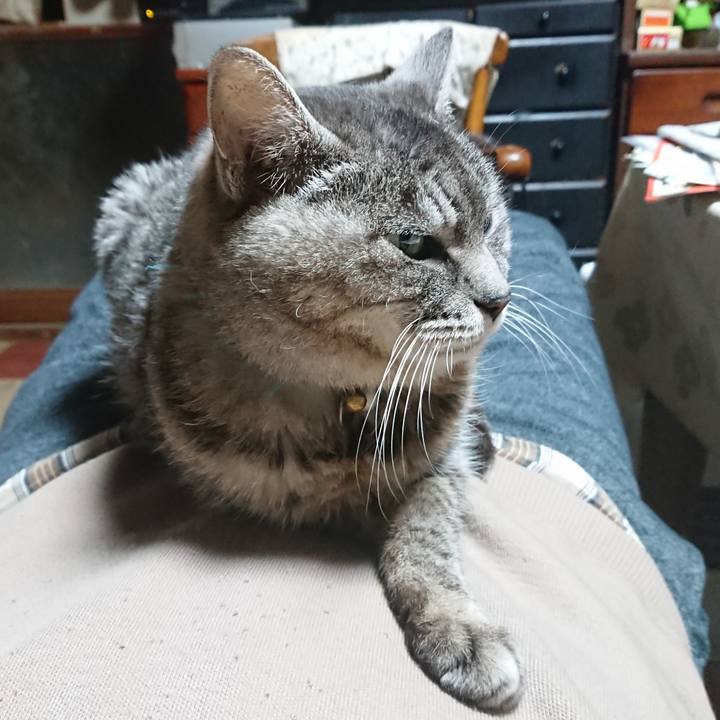 9df8a28b ee6b 4068 aad6 7d6df3d327a9 1575100907595