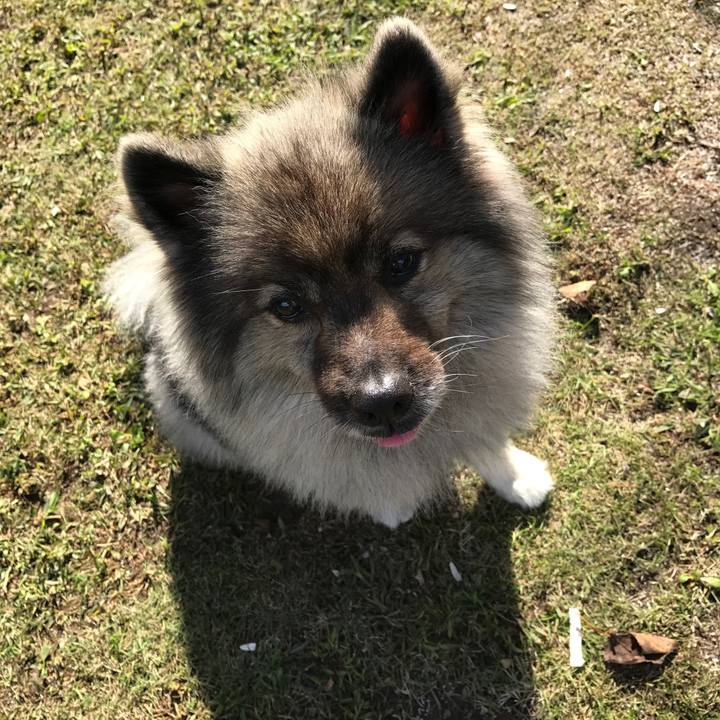 9df8d680 565f 4106 aafa 297a3be08bd2 1525707564945