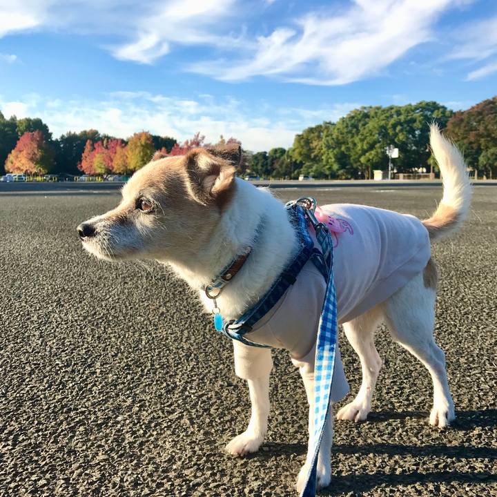 9df8d69a 5f44 4d18 b478 83b238897be8 1667089811818