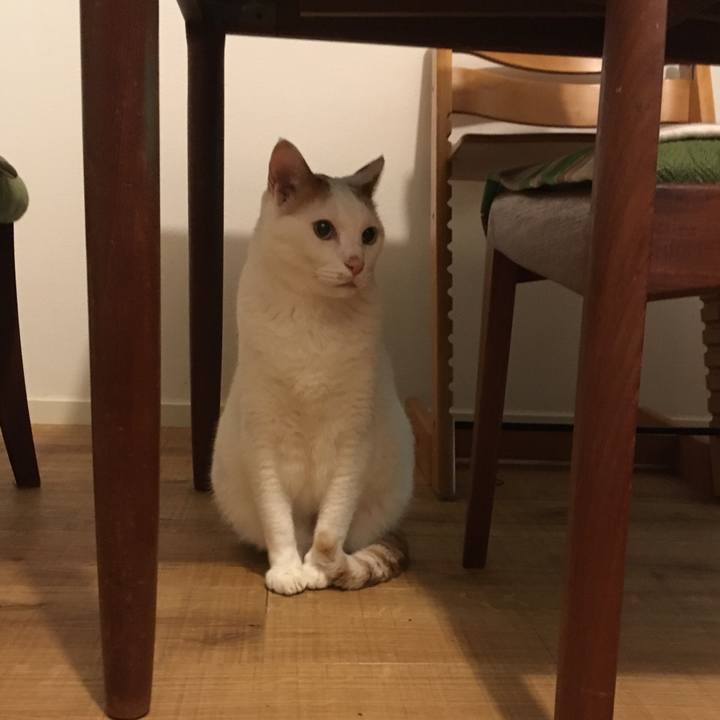 9df8e823 7678 4474 9490 b3a9af08376e 1531016142113