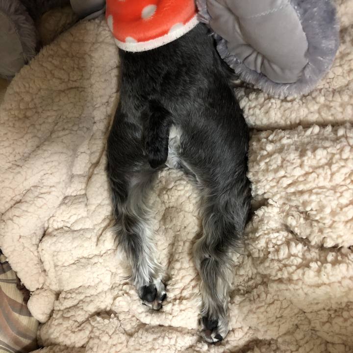 9df91ac2 5513 4972 b9f6 5834ba197a9d 1525521575881