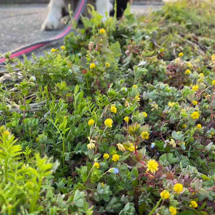 9df91fd6 ccc6 44ff 85f2 42c4ec1aa75b 1614120982376