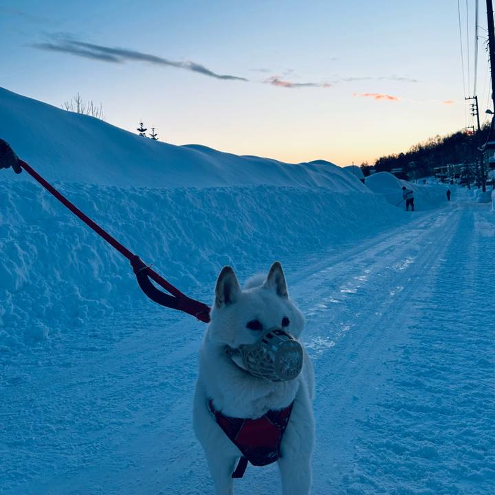 9df93b87 213a 4ffe 848f 958bb213b39d 1769122439028