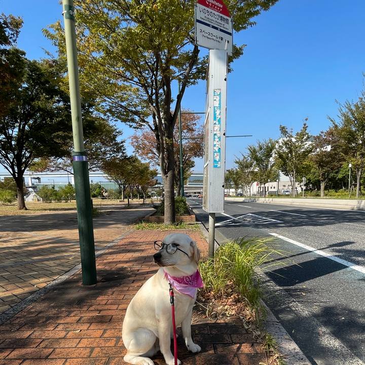 9df93cd3 3657 4b19 bb22 688470e2d165 1635336907647