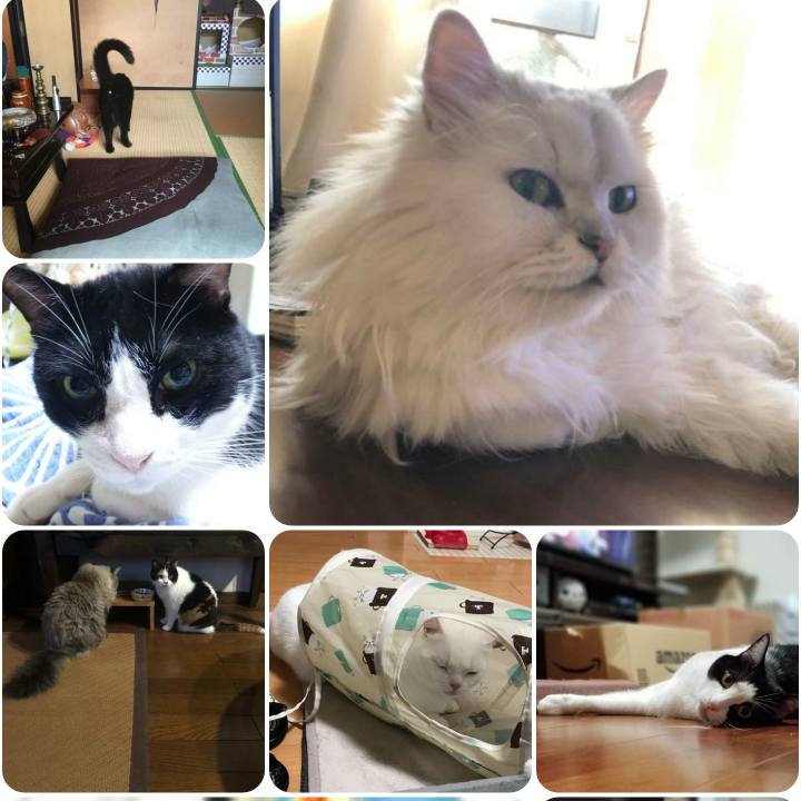 9df93ec3 c3e4 4829 a5dc 9330ac41686b 1567413812958