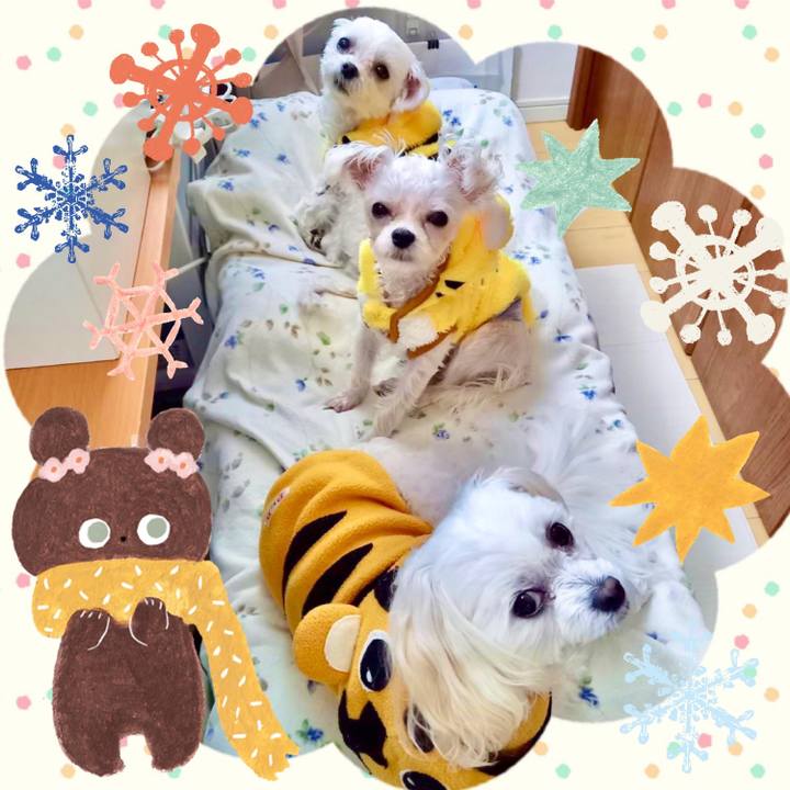 9df95882 9dea 4caa ba2e 238ec2a0e09e 1641368382369