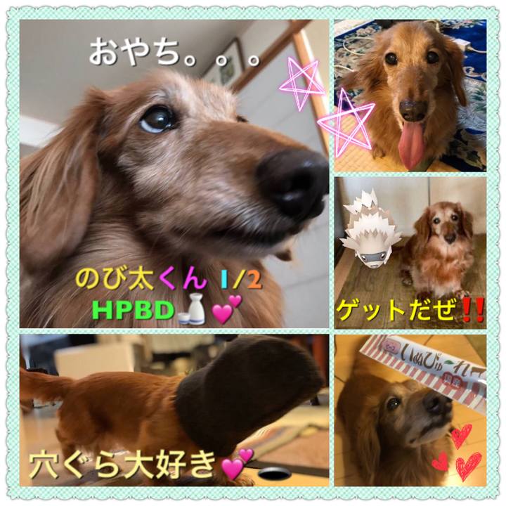 9df972db bddb 4ac6 945a a5cca9a44c1e 1515365834383