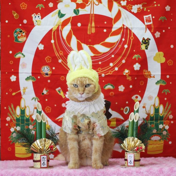 9df988a1 46be 42fe ade5 6a8b14868ae2 1672189060792