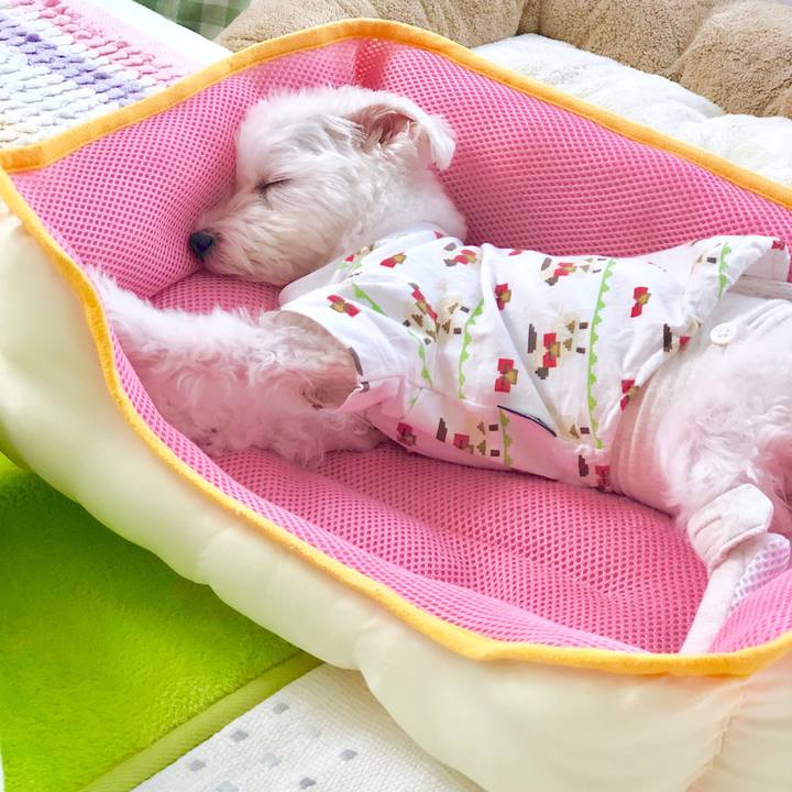 9df9b028 55b5 4d69 83d3 bccafa994414 1567409669550