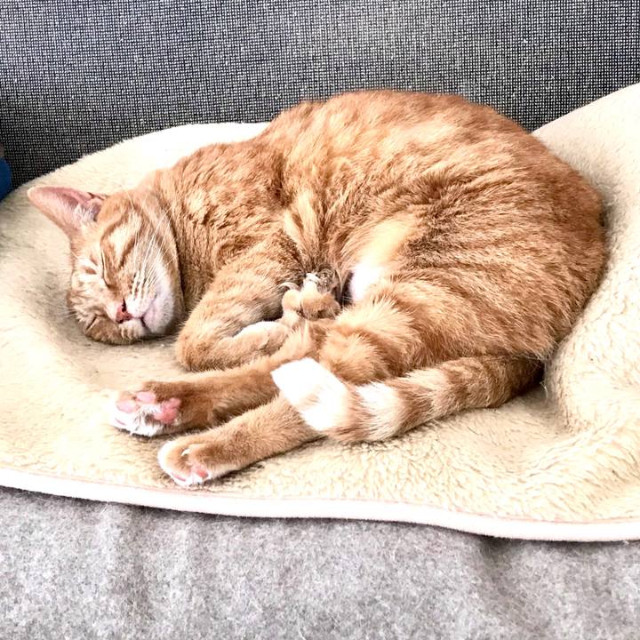 9df9e5b9 9d1e 4b15 afca a3ae914c68cd 1583979165145