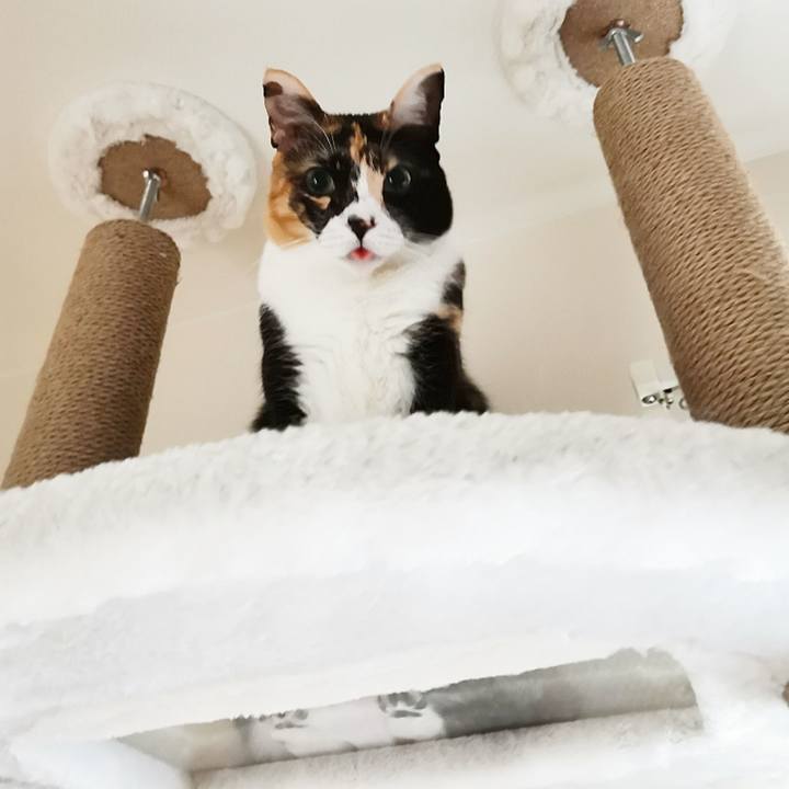 9df9f9fe 9395 4e97 9978 2beee51300f7 1667274995176