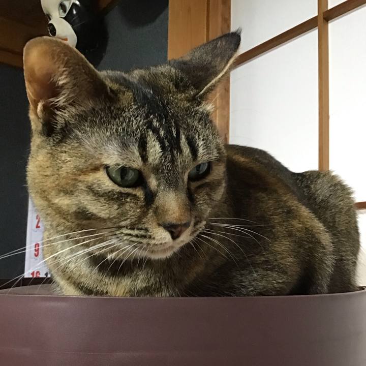 9df9fbba 303c 4e5f a5ae cf9fc1b18df8 1681727576469