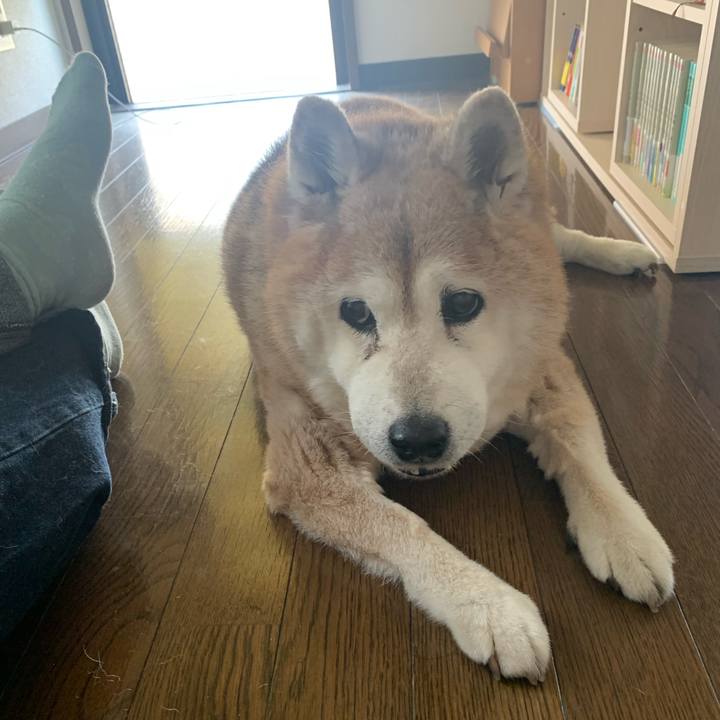 9dfa333c e434 4b1b a83a 0b383475d848 1654395237024