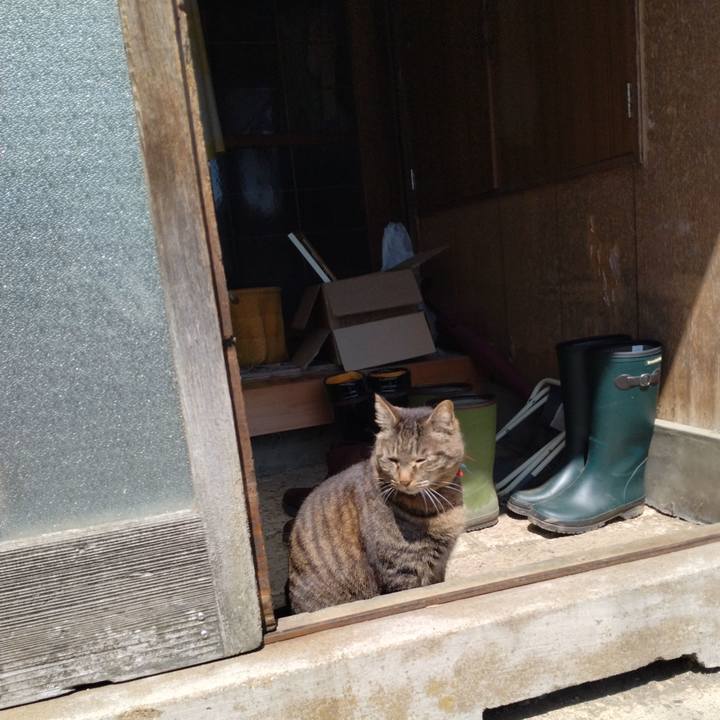 9dfa4103 20a6 4a2c 9832 7d9b8e89dd62 1681102484117