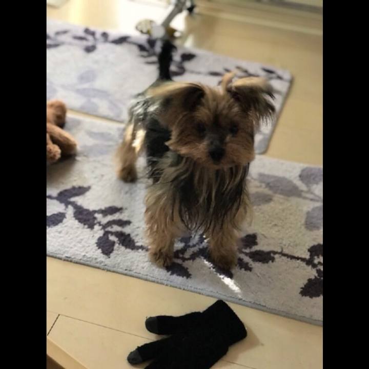 9dfa4845 2a1f 445b ae54 7603cca84a78 1518737456095